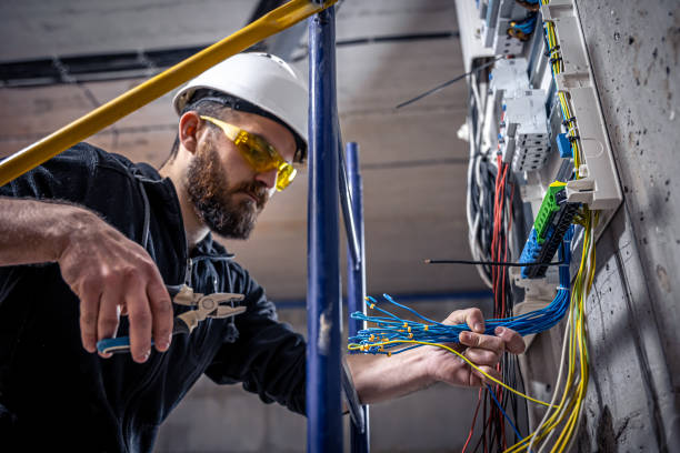 Best Local Electrician Companies  in Plumsteadville, PA